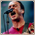 Dave Matthews