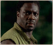 Cena de The Cost Of Living