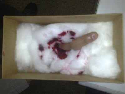 A&ccedil;&atilde;o de marketing do FX