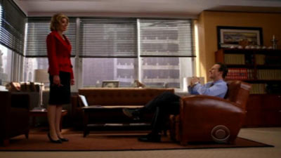 The Good Wife - Lifeguard