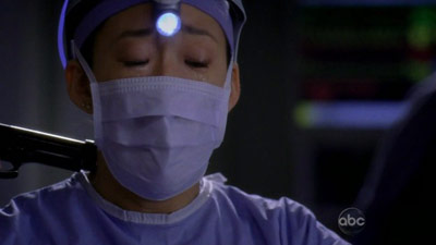 Grey's Anatomy - Sanctuary e Death and All His Friends